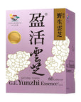 醫藥級「盈活雲芝」 提升抗頑免疫 紓緩化電療不適 - Vita Green