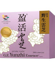 醫藥級「盈活雲芝」 提升抗頑免疫 紓緩化電療不適 - Vita Green