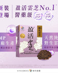 醫藥級「盈活雲芝」 提升抗頑免疫 紓緩化電療不適 - Vita Green