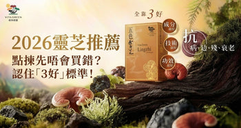 2026靈芝推薦｜點揀先唔會買錯？認住「3好」標準！ - Vita Green