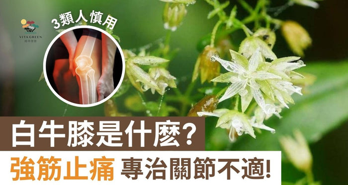 白牛膝是什麽？強筋止痛功效驚人！3類人忌服小心副作用 - Vita Green