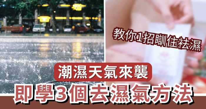 潮濕天氣來襲！即學3招去濕氣 輕鬆應對春季 - Vita Green