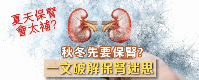 夏天保腎會太補? 秋冬先要保腎? 一文破解保腎迷思