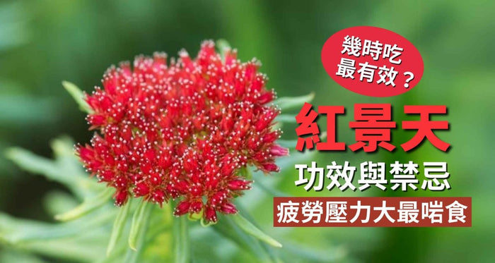 紅景天功效與禁忌｜什麼時候吃最有效？疲勞壓力大最適合服用！ - Vita Green
