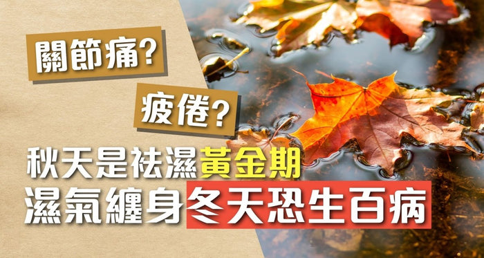 袪濕｜秋天是袪濕黃金期 濕氣纏身冬天恐生百病 - Vita Green