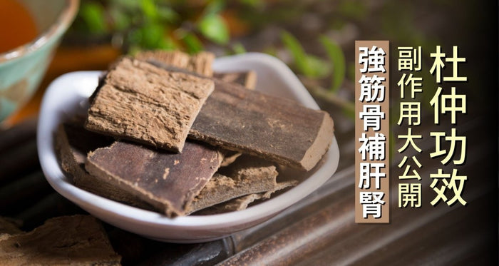 杜仲功效與副作用大公開！補肝腎強筋骨 杜仲茶有效嗎？ - Vita Green