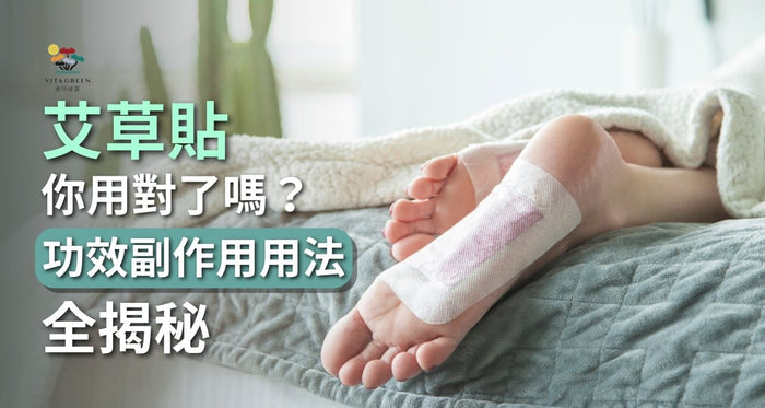 艾草貼你用對了嗎？功效、副作用與膝蓋腳底用法全揭秘 - Vita Green