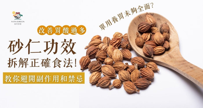 砂仁功效能改善胃酸過多？拆解正確食法！教你避開副作用和禁忌 - Vita Green