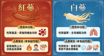 人蔘功效全解析｜補氣補血、提升免疫力一次看，附禁忌與選購指南 - Vita Green