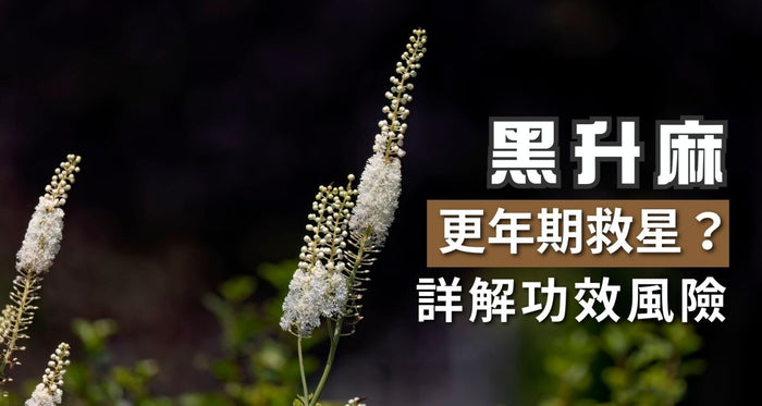 黑升麻功效與副作用｜更年期救星？詳解如何改善及風險！ - Vita Green