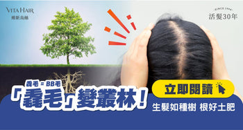 頭髮愈養愈甩？可能是欠缺關鍵一步！ 生髮如種樹　根好土肥 「毳毛」變叢林 - Vita Green