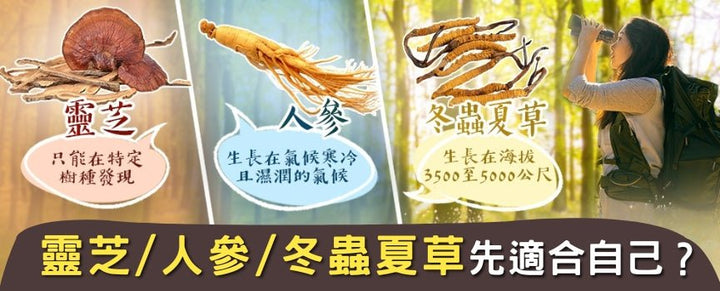 冬蟲夏草、人參、靈芝保健品點揀好？ 首要考慮功效同實際需求 - Vita Green