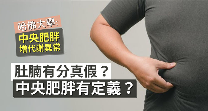 肚腩有分真假？