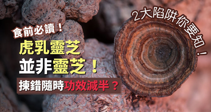 虎乳靈芝並不是靈芝！揀錯隨時功效減半？一文睇清功效副作用
