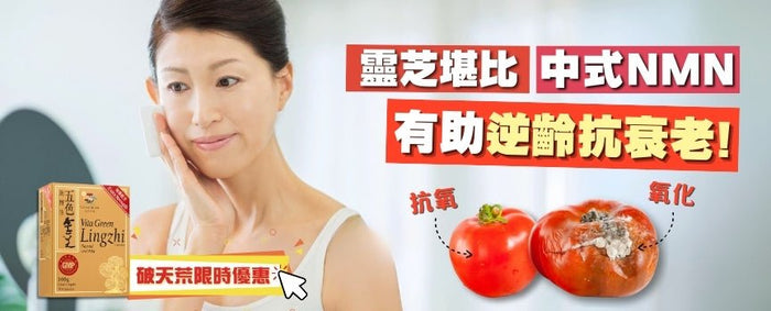 靈芝堪比中式NMN 有助逆齡抗衰老！ | 維特健靈 - Vita Green