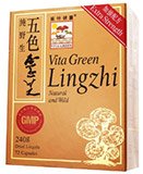 五色靈芝 Vita Green Lingzhi